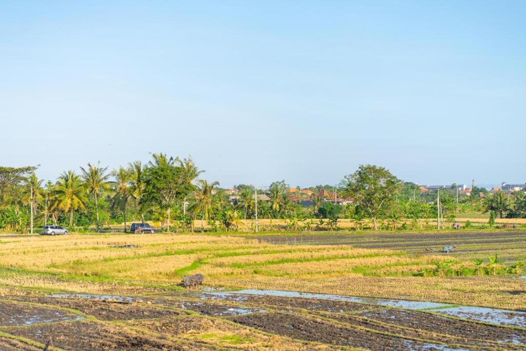 Pondok Lulik Seseh Beach Munggu Bagian luar foto
